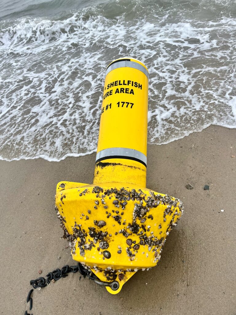 a yellow kayak on a beach (MyCoast AI)