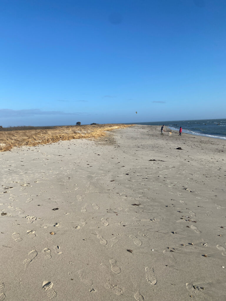 people walking on a beach (MyCoast AI)