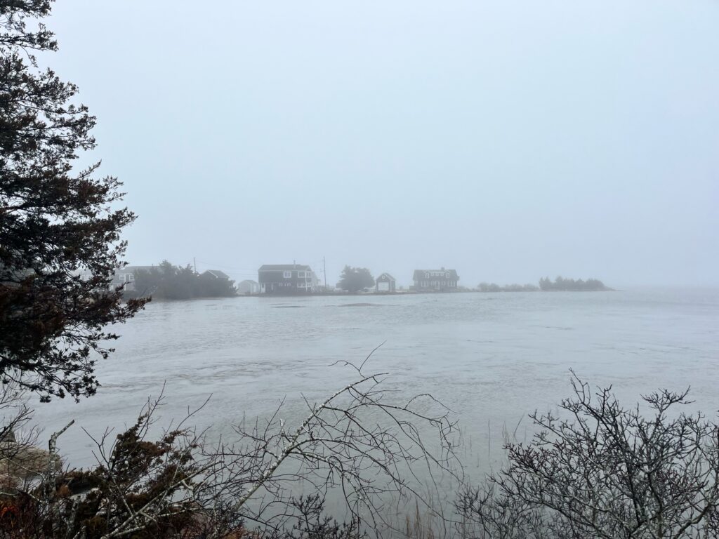 a body of water with buildings in the distance (MyCoast AI)