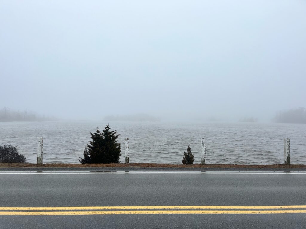 a road next to a body of water (MyCoast AI)
