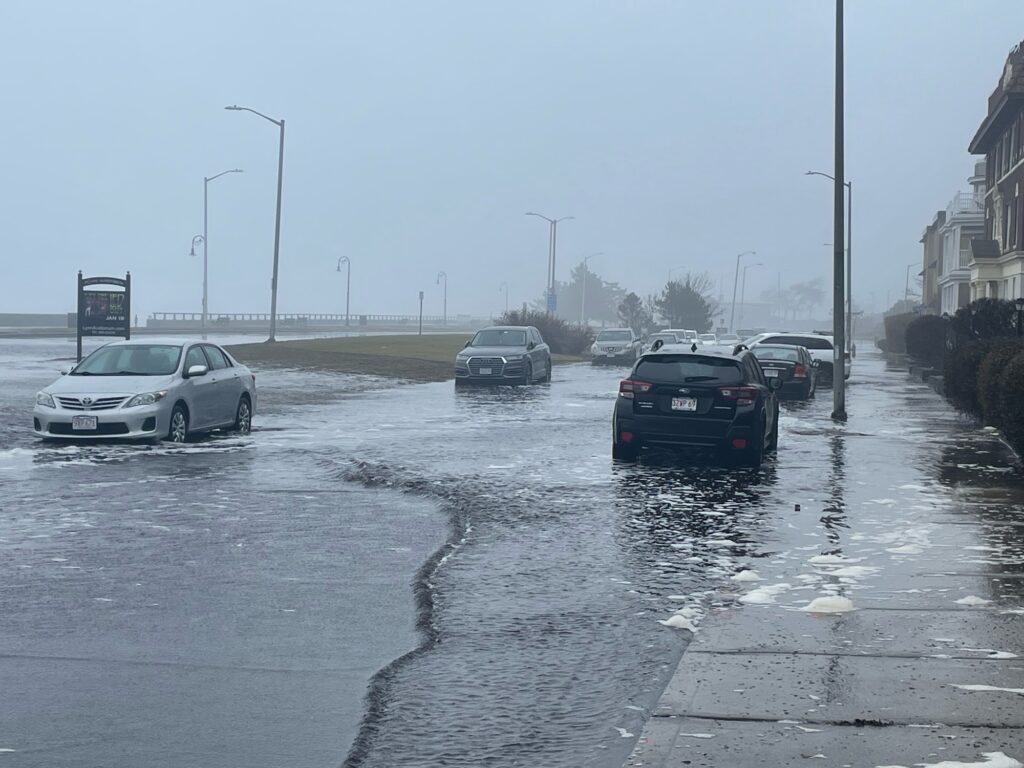 a group of cars on a wet road (MyCoast AI)