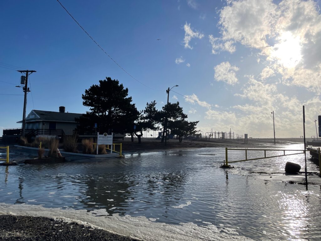 a flooded area with houses and trees (MyCoast AI)