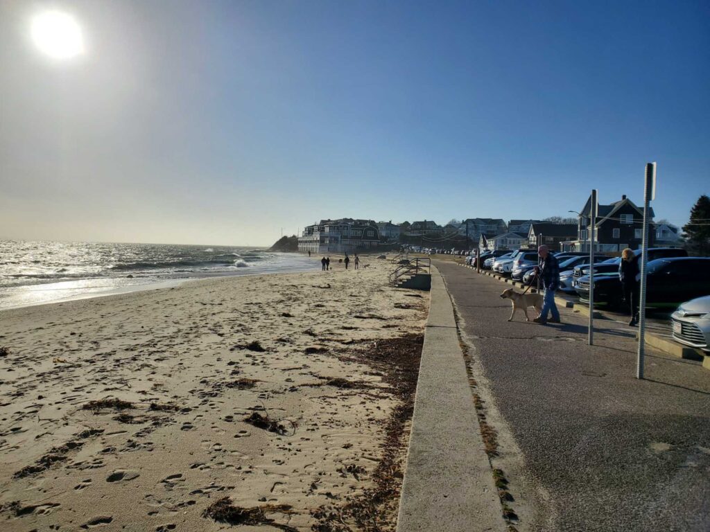a dog walking on a beach (MyCoast AI)