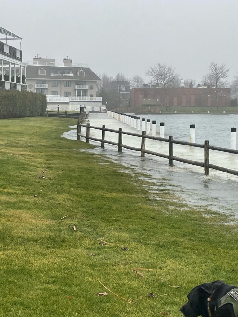 a body of water with grass and buildings around it (MyCoast AI)