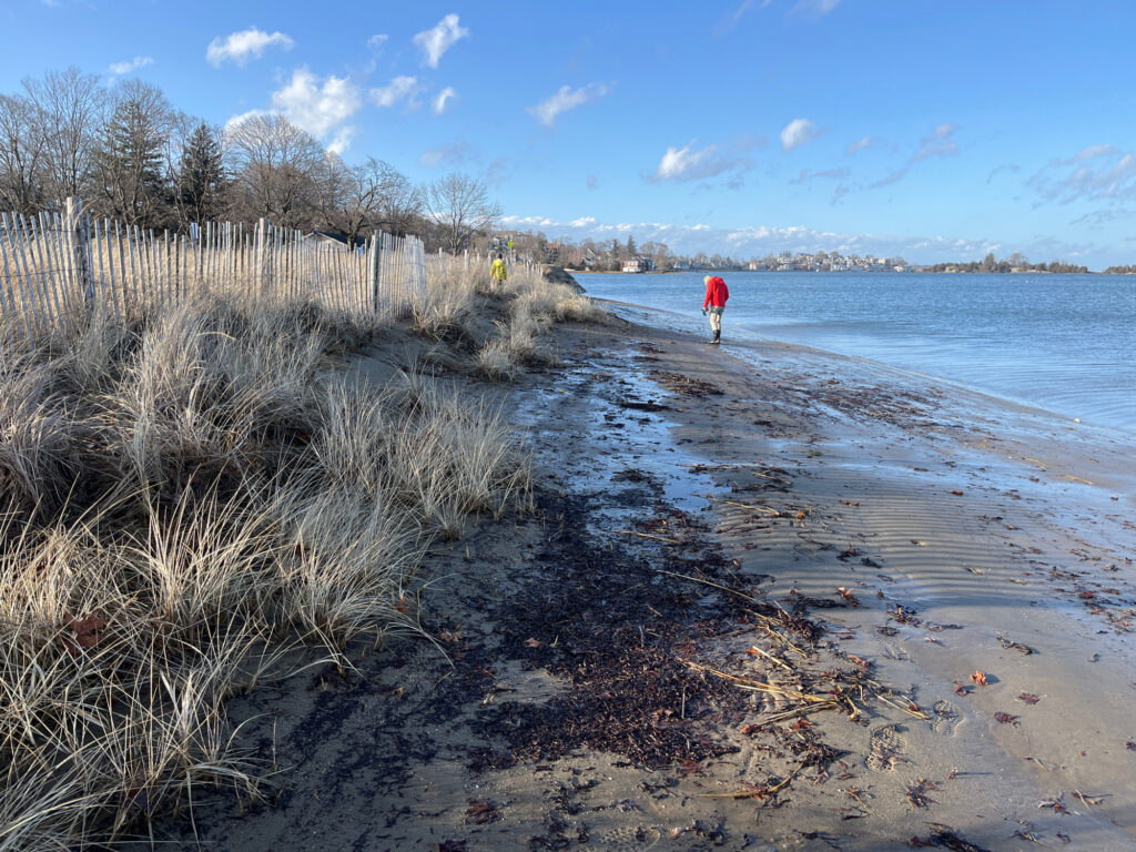 a person walking on a beach (MyCoast AI)