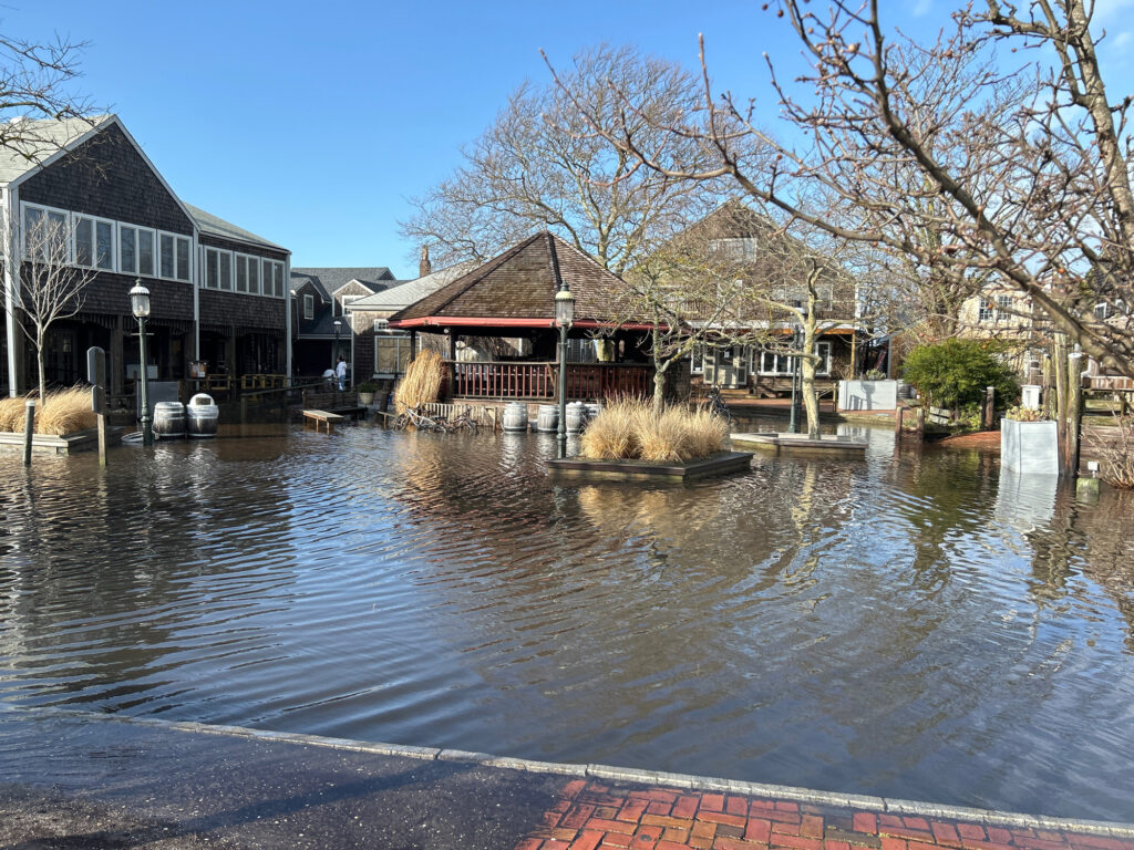 a flooded street with buildings and trees (MyCoast AI)