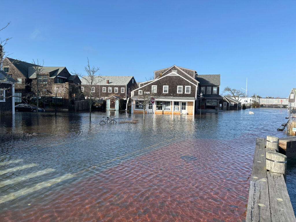 a body of water with buildings along it (MyCoast AI)