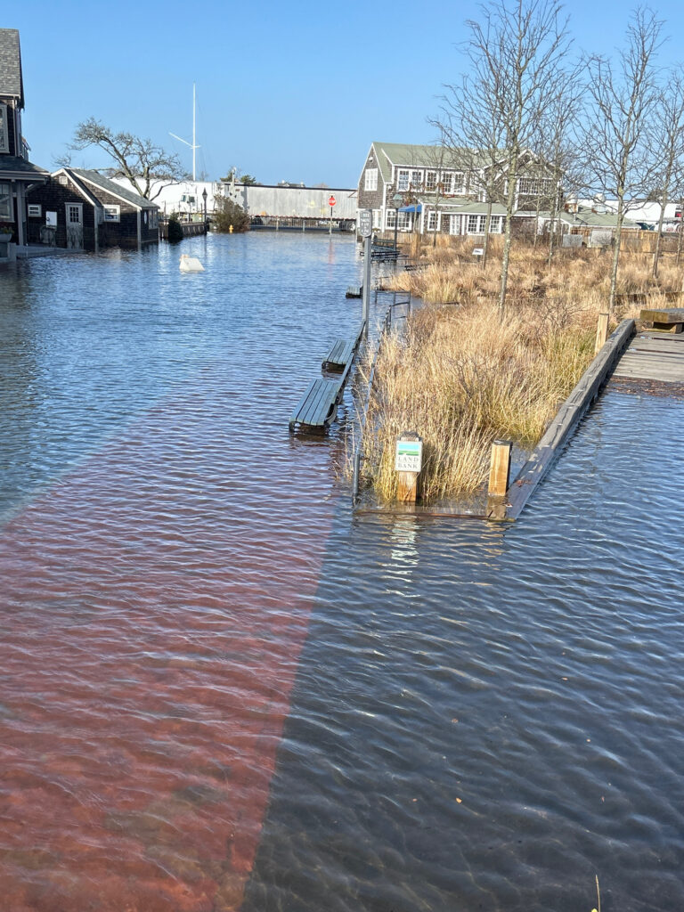 a body of water with a dock and buildings along it (MyCoast AI)