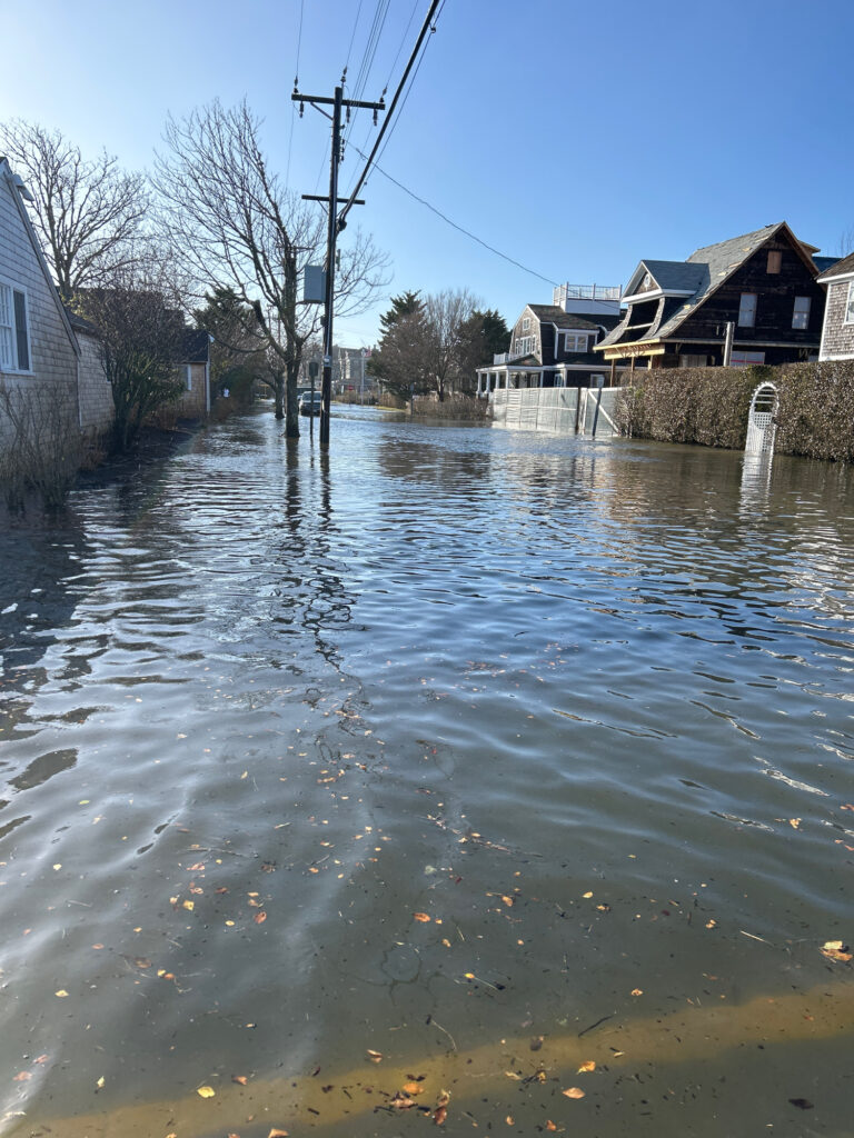 a flooded street with houses and trees (MyCoast AI)