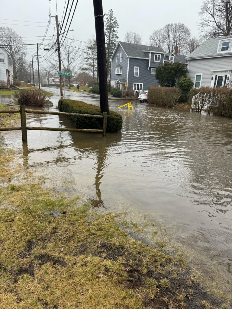 a flooded street with houses and trees (MyCoast AI)