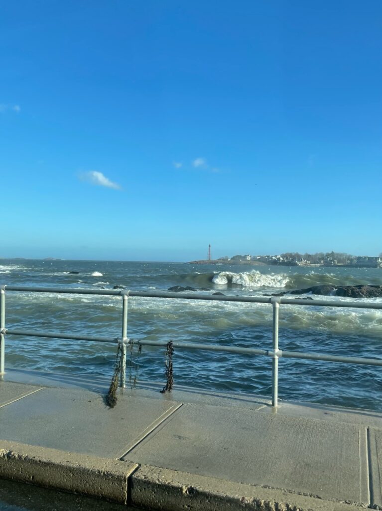 a body of water with waves crashing on it (MyCoast AI)