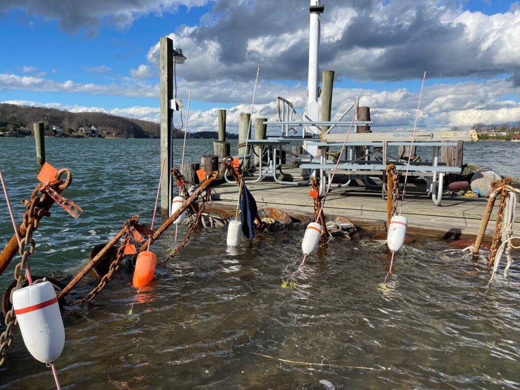 a dock with many poles and pipes (MyCoast AI)