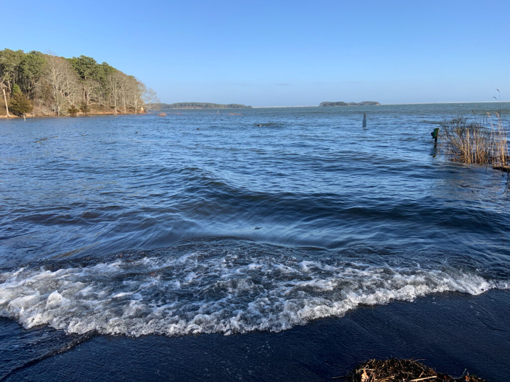 a body of water with waves (MyCoast AI)
