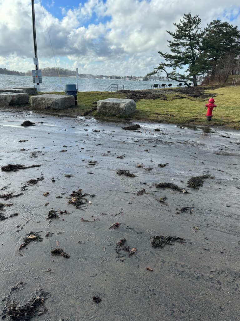 a red fire hydrant on a beach (MyCoast AI)