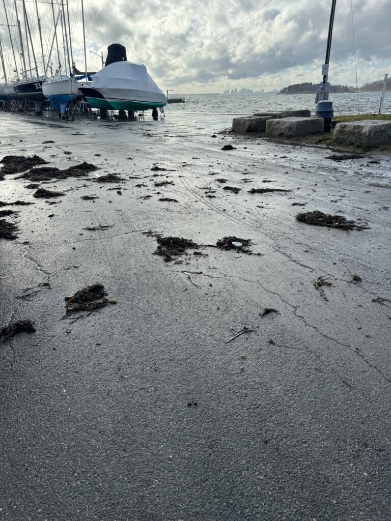 a beach with a boat and a crane (MyCoast AI)