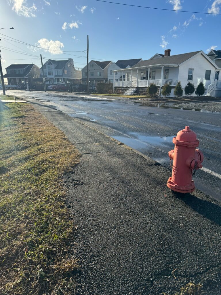 a red fire hydrant on the side of a road (MyCoast AI)