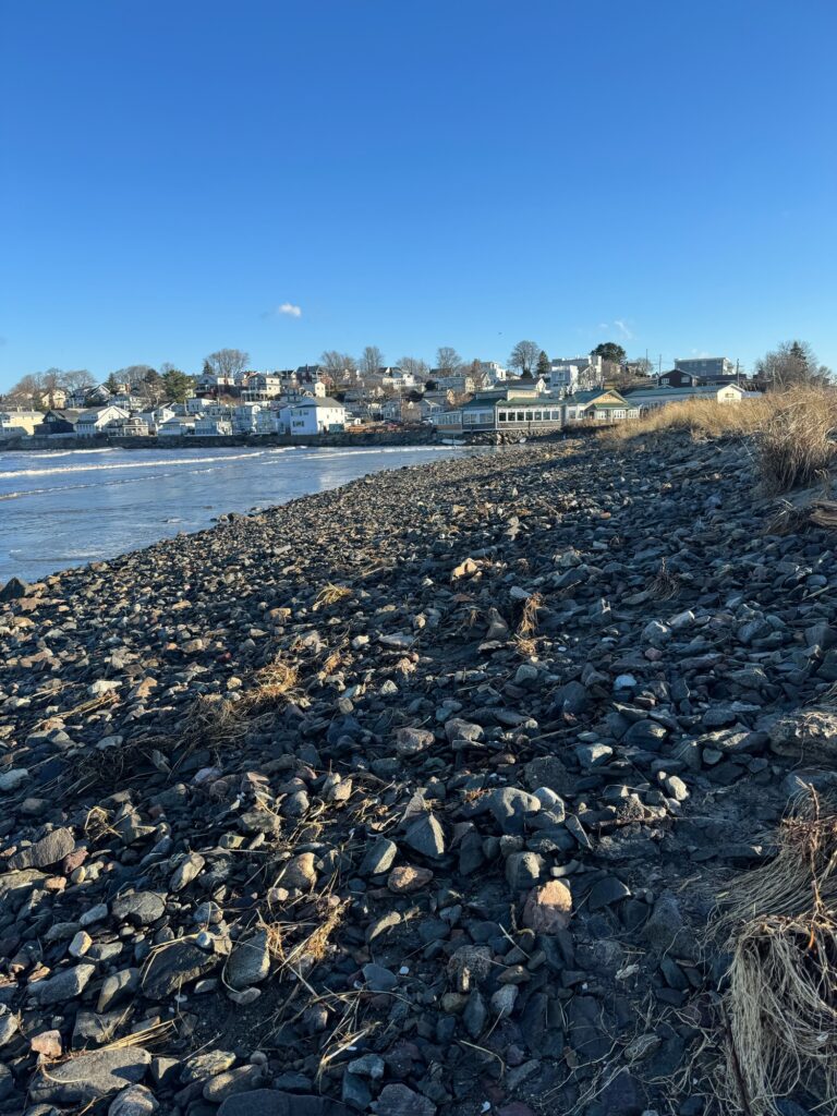 a rocky beach with houses in the background (MyCoast AI)