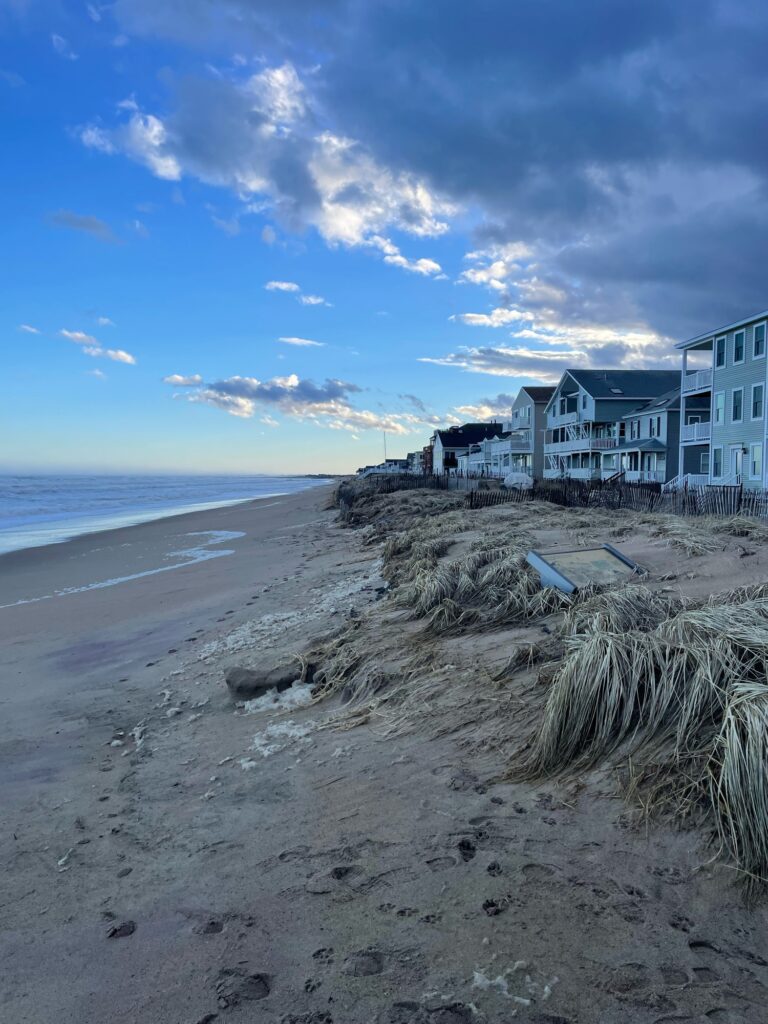 a beach with houses along it (MyCoast AI)