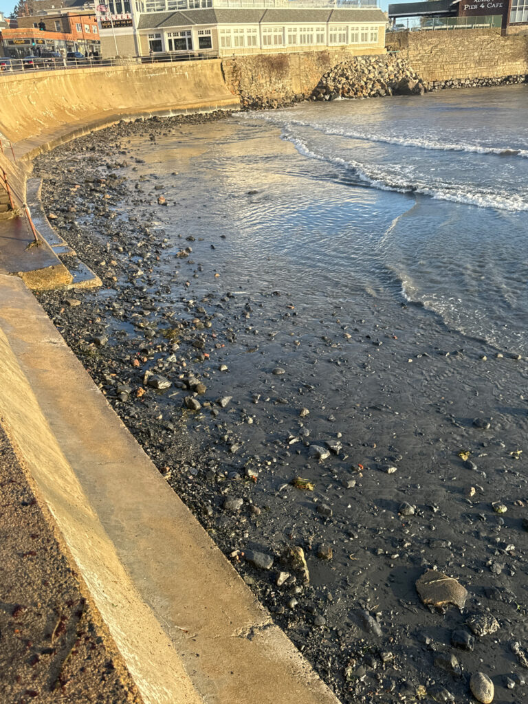 a body of water with rocks and a building in the background (MyCoast AI)