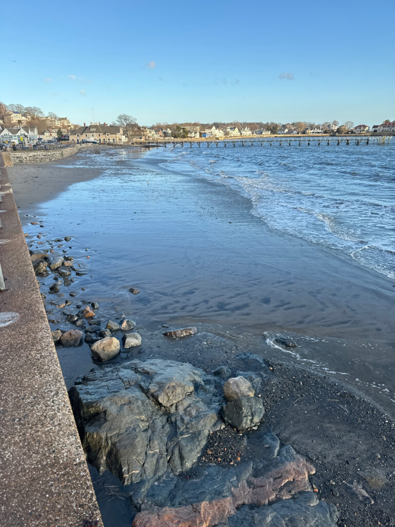 a rocky beach with a body of water in the background (MyCoast AI)