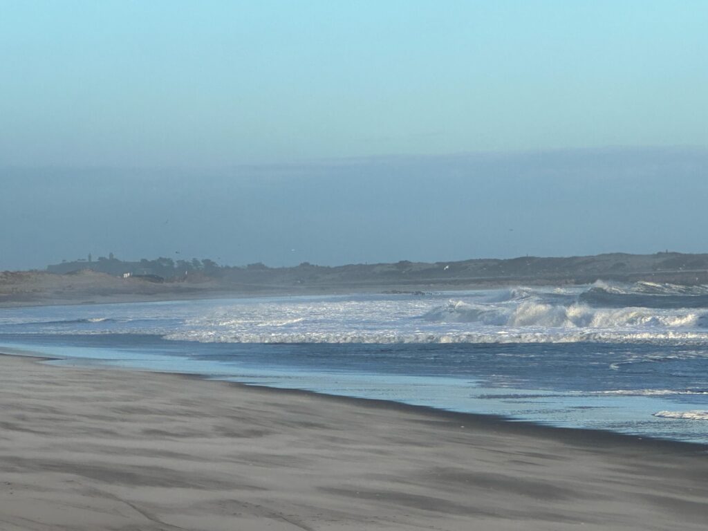 waves crashing on a beach (MyCoast AI)