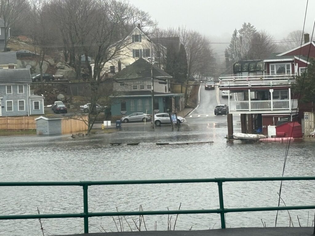 a body of water with buildings and cars in the background (MyCoast AI)