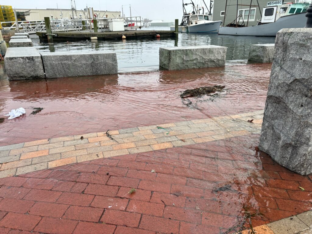 a brick walkway with boats in the background (MyCoast AI)