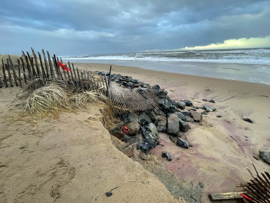 a pile of wood on a beach (MyCoast AI)