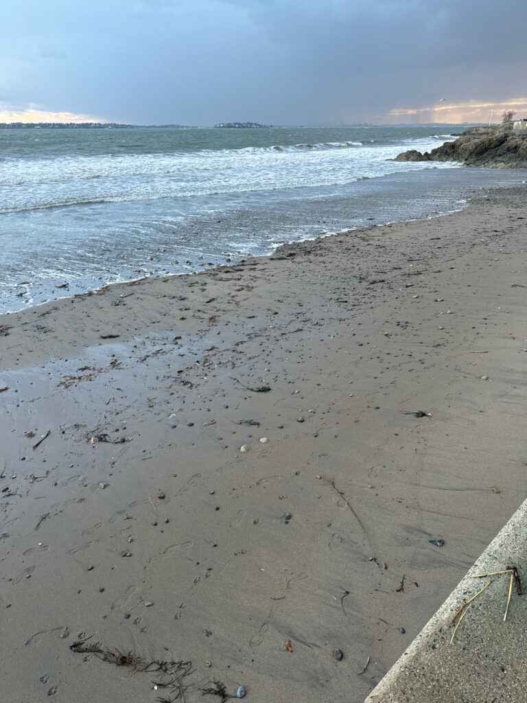 a sandy beach with waves crashing on it (MyCoast AI)