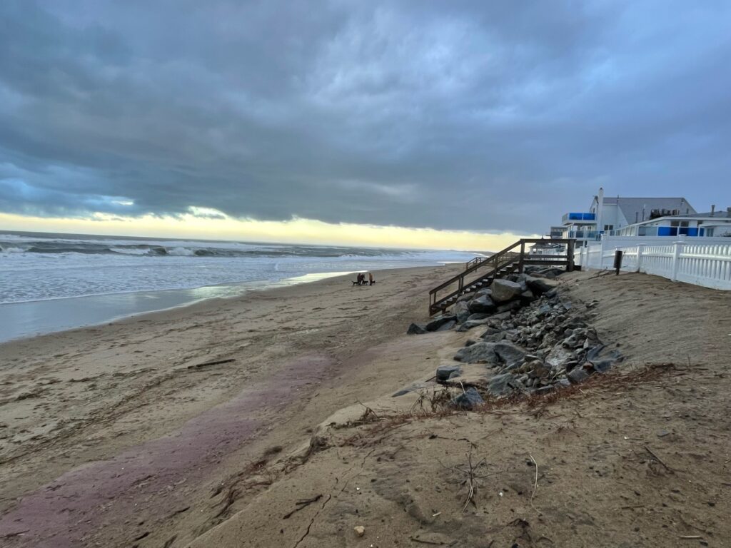a beach with a pile of wood (MyCoast AI)