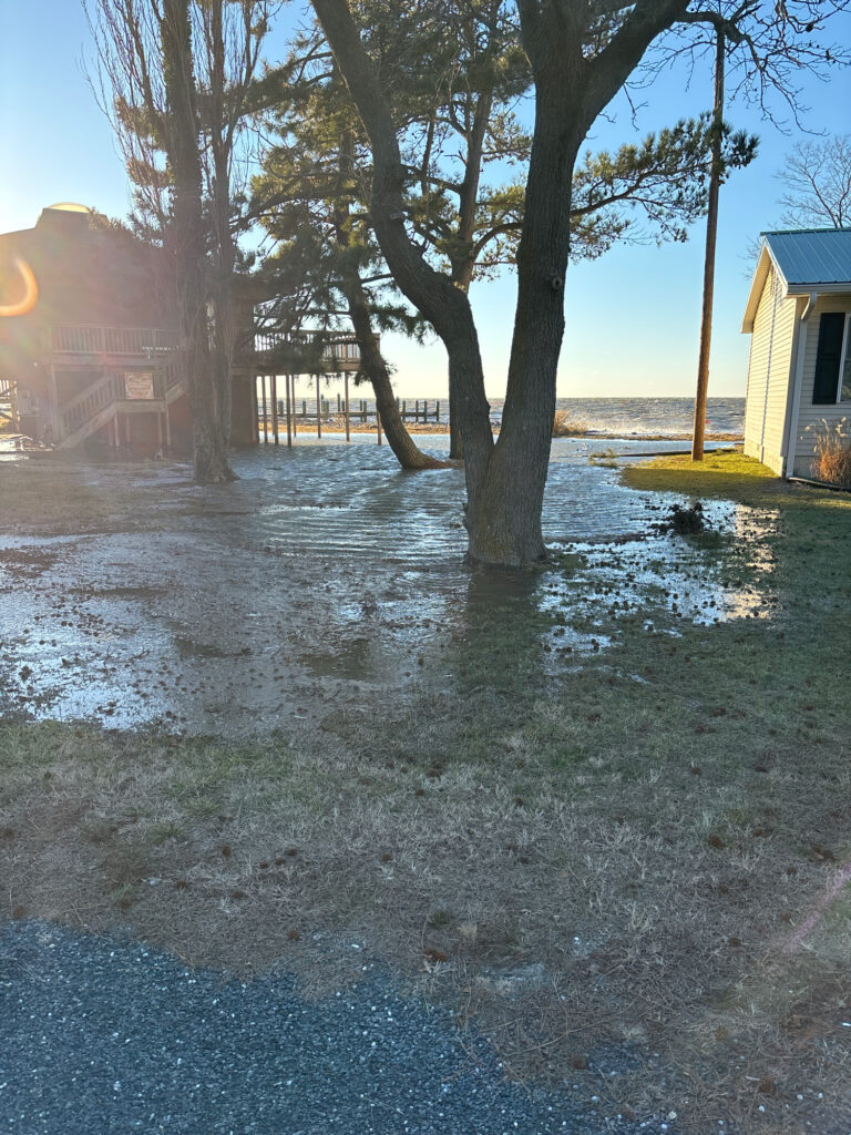 a flooded area with trees and buildings (MyCoast AI)