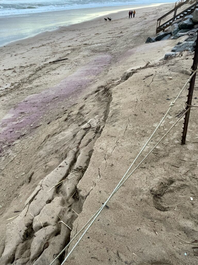 a beach with a few people (MyCoast AI)