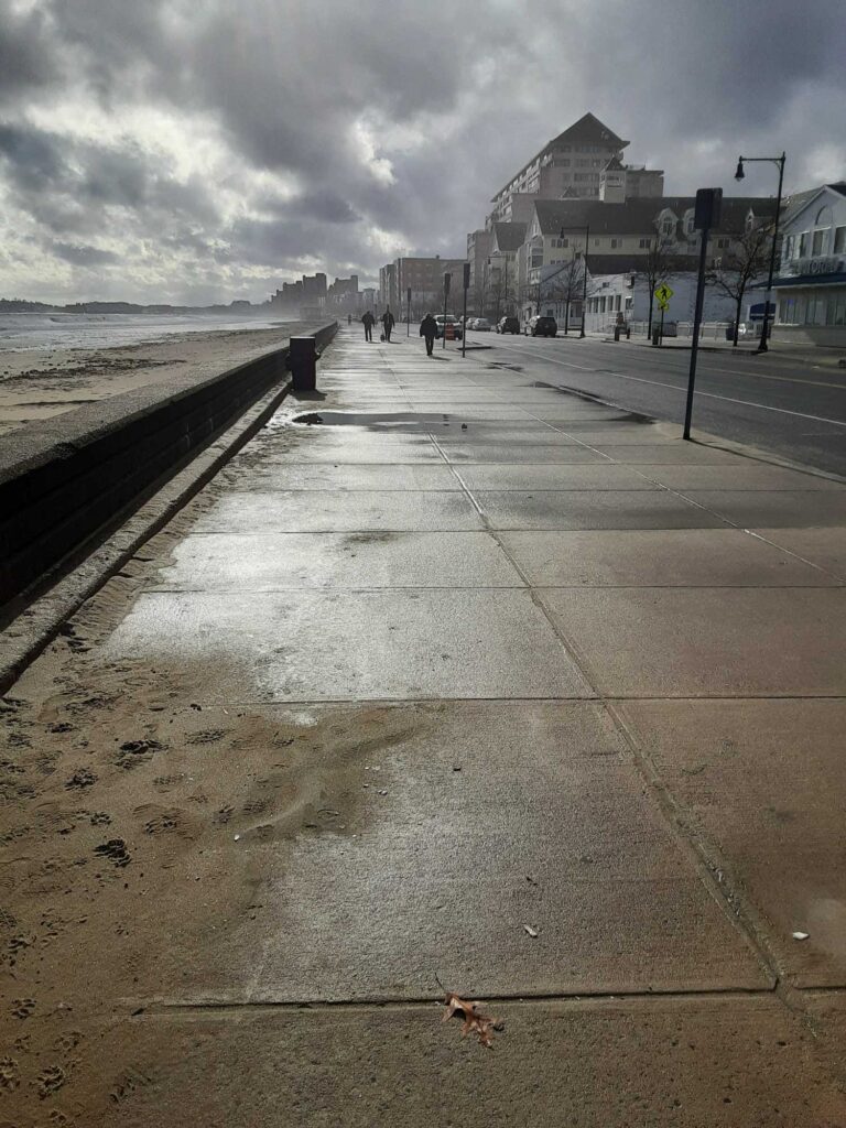 a bird on a sidewalk (MyCoast AI)