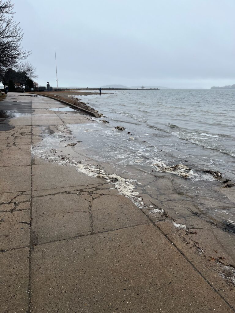 a sidewalk next to a body of water (MyCoast AI)