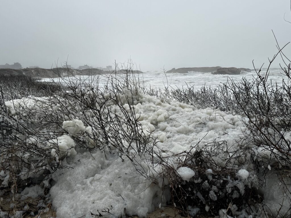 a field of snow (MyCoast AI)
