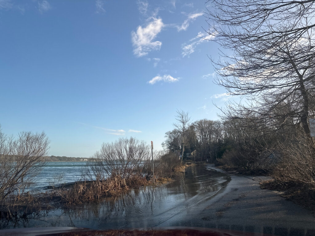 a road with trees on the side (MyCoast AI)