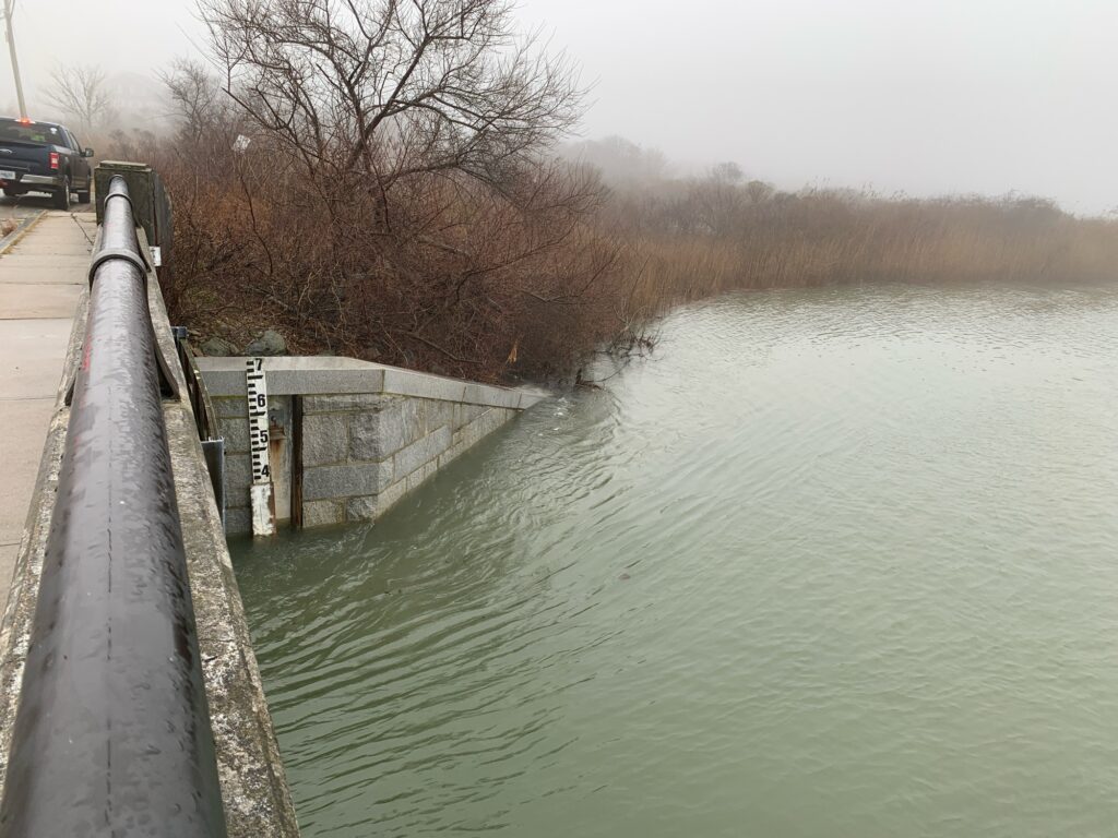 a body of water with a concrete wall and a tree (MyCoast AI)