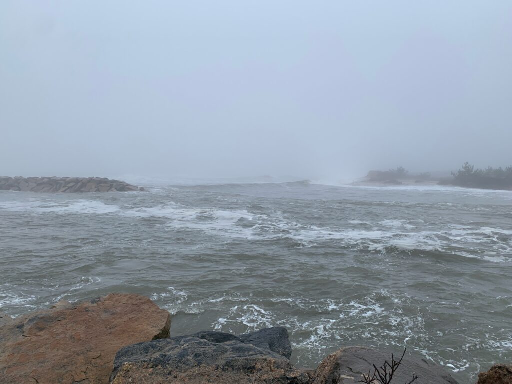 waves crashing on rocks (MyCoast AI)