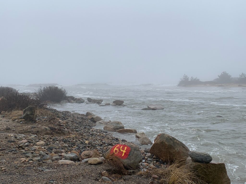 a rocky beach with a body of water in the background (MyCoast AI)