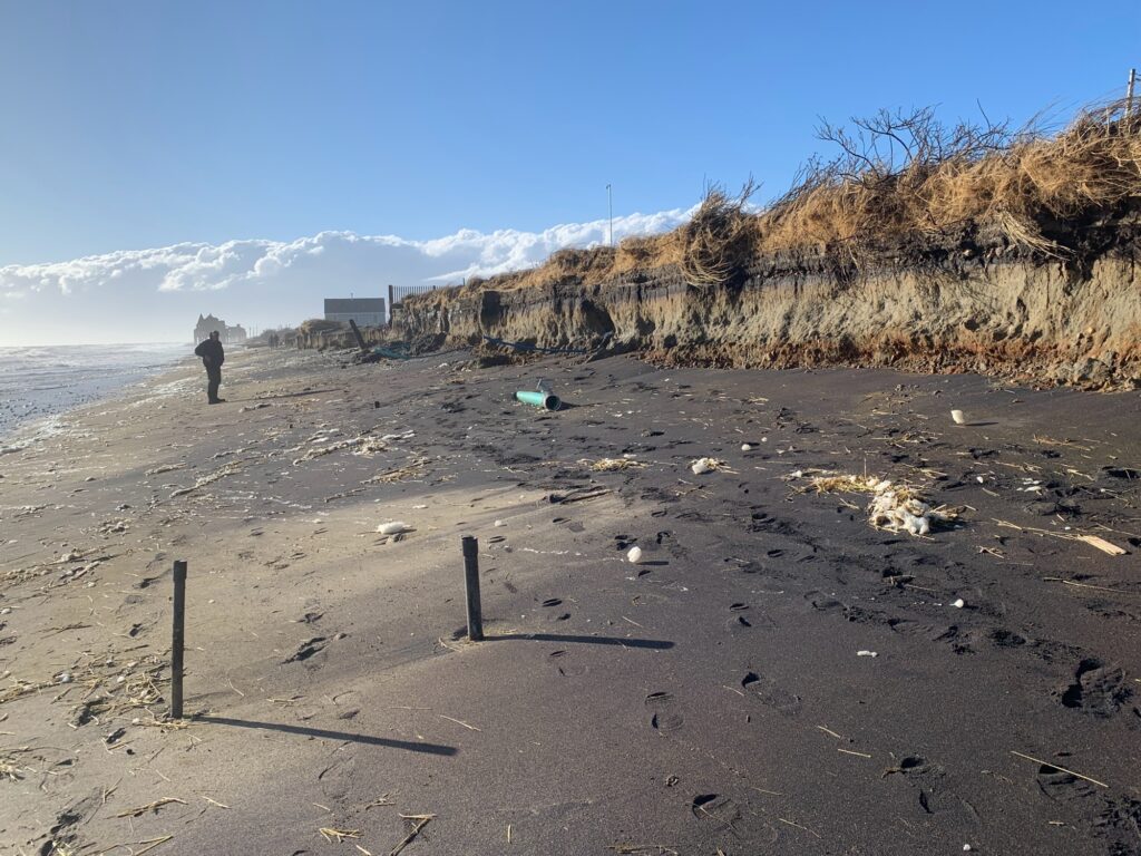 a person standing on a beach (MyCoast AI)