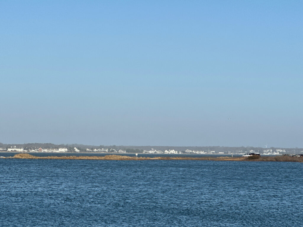 a body of water with land in the background (MyCoast AI)