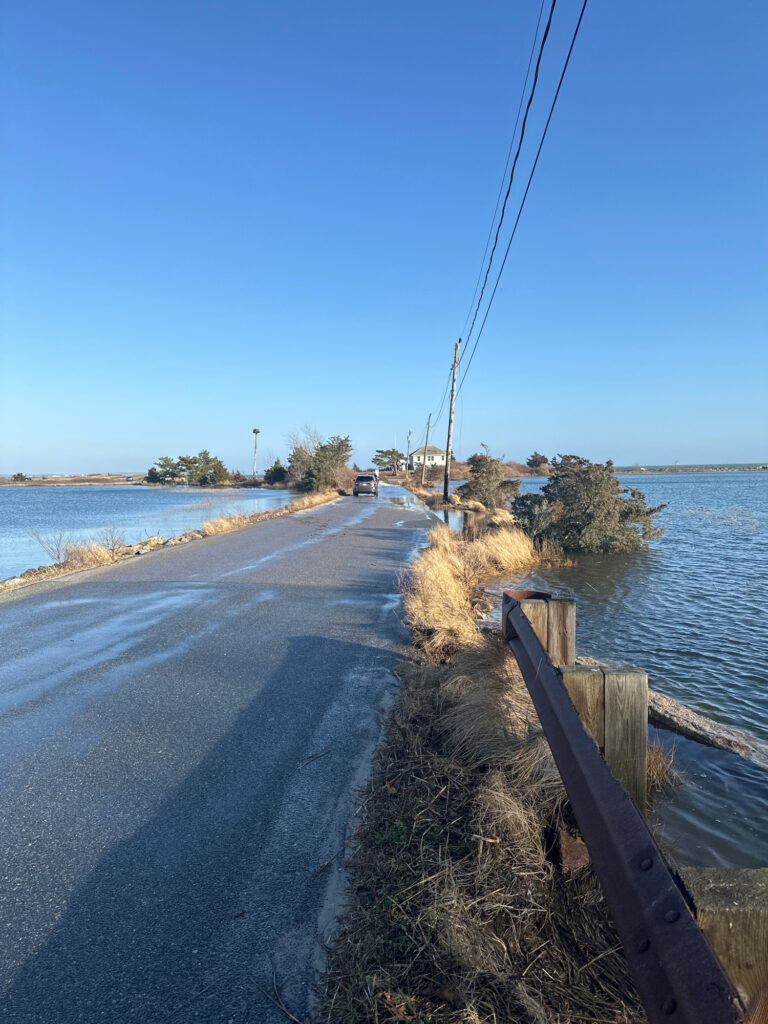 a road next to a body of water (MyCoast AI)