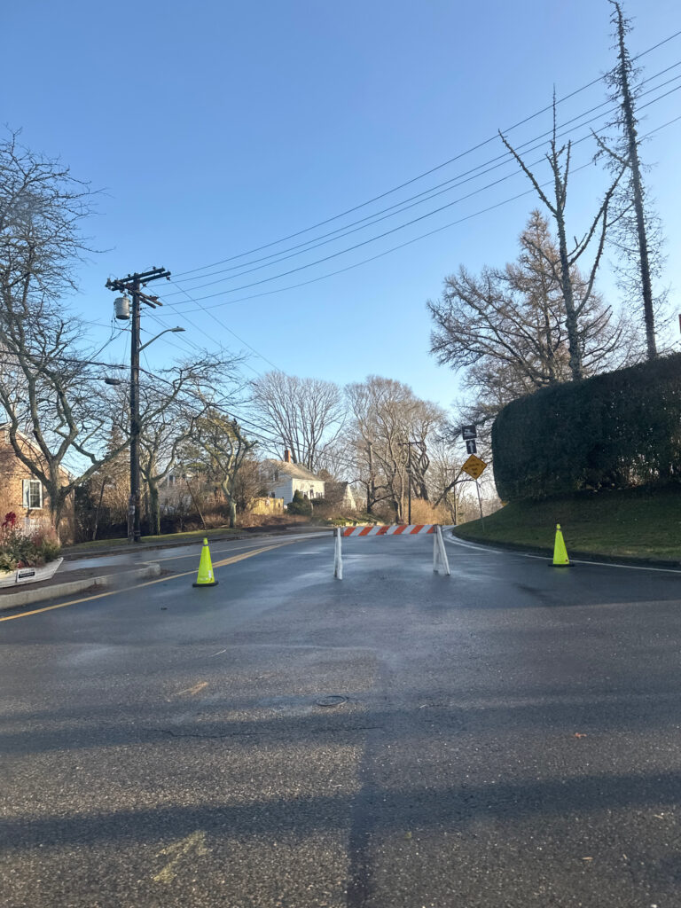 a road with trees and houses on the side (MyCoast AI)