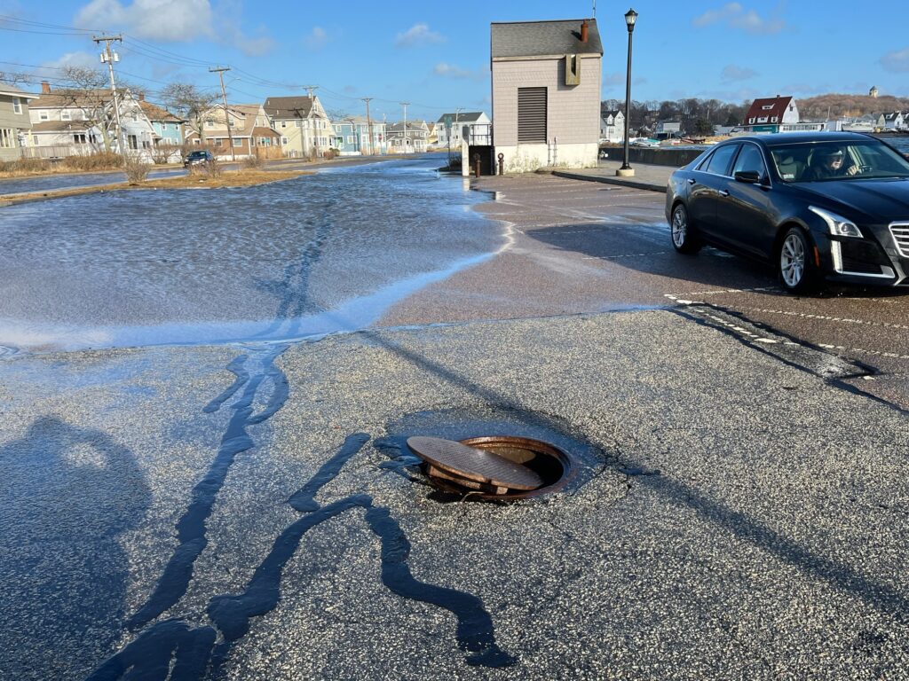 a snake in a parking lot (MyCoast AI)