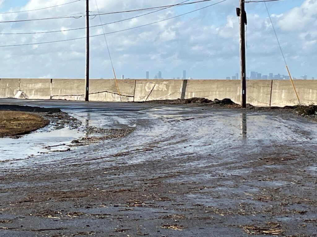 a road with water on the side (MyCoast AI)