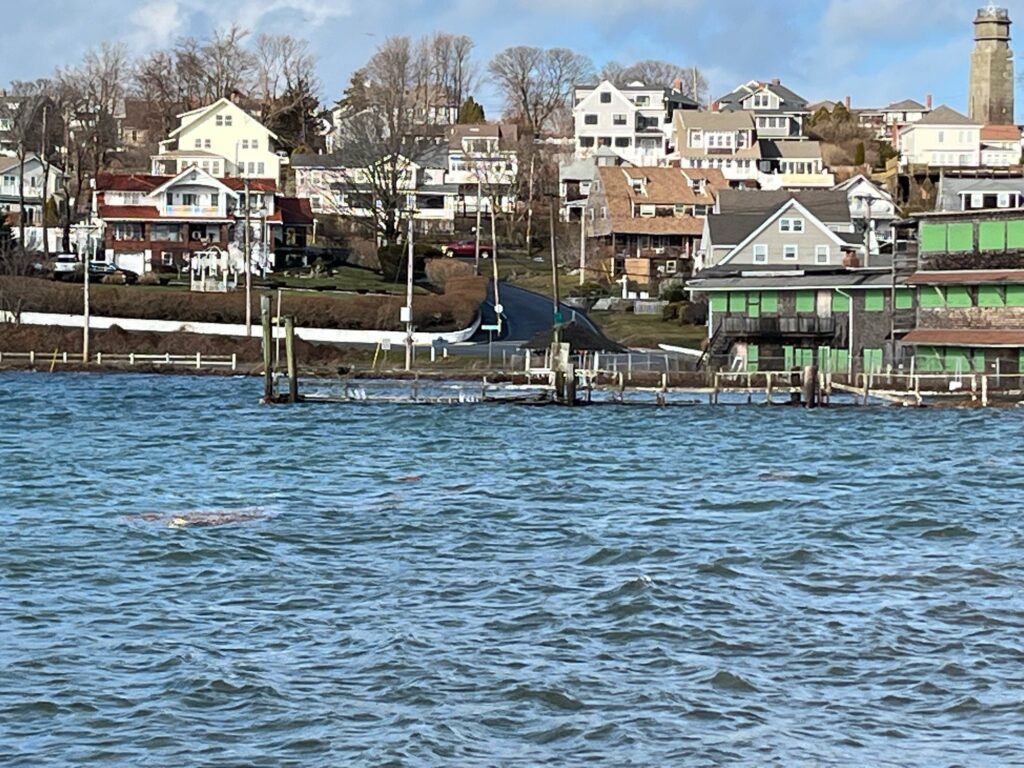 a body of water with buildings along it (MyCoast AI)