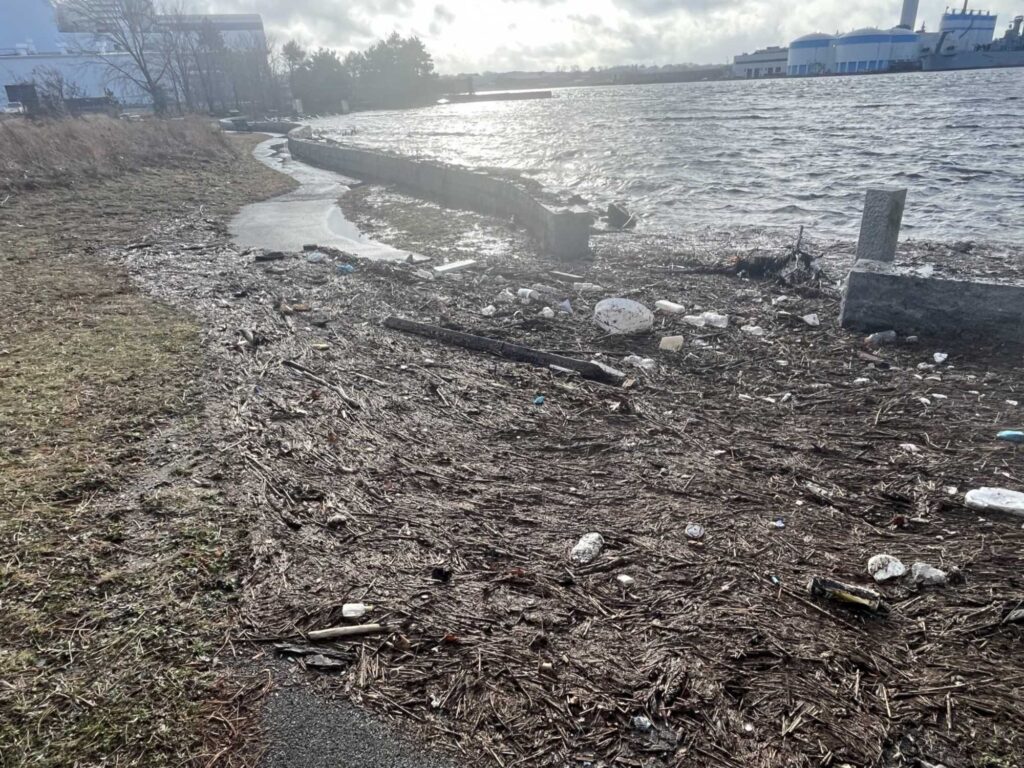a beach with trash on the ground (MyCoast AI)