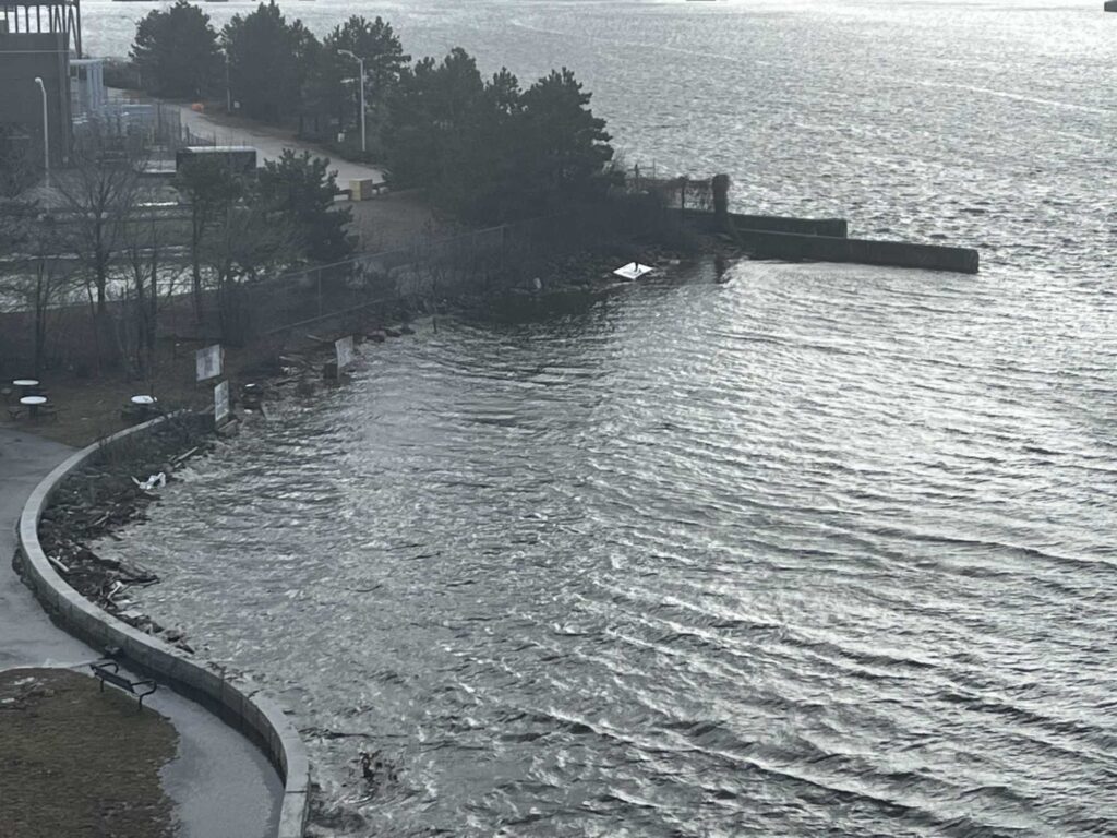 a body of water with a dock and trees around it (MyCoast AI)