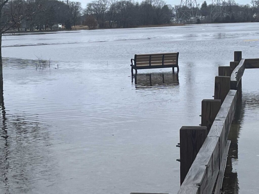a bench in a lake (MyCoast AI)