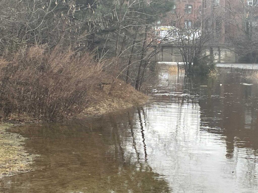 a river with trees and buildings (MyCoast AI)